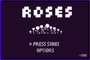 8 Bit Roses: The Vintage Display Font for Retro Branding