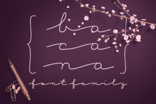 Bacana Display Font for Modern Web Design