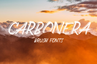 Carbonera: The Gritty Display Font That Transformed My Brand