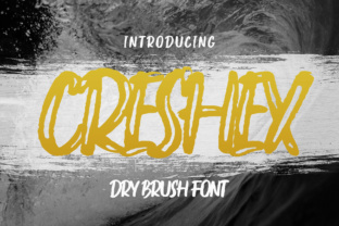 Creshex: A Bold Display Typeface for Editorial Impact