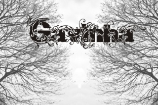 Gavinha: The Perfect Display Font for Handmade Crafts