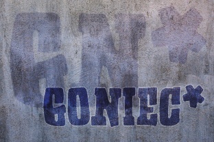 Goniec: The Bold Typeface That Transforms Small Business Branding
