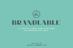 Nancy Free Download: Elegant Display Font for Designers